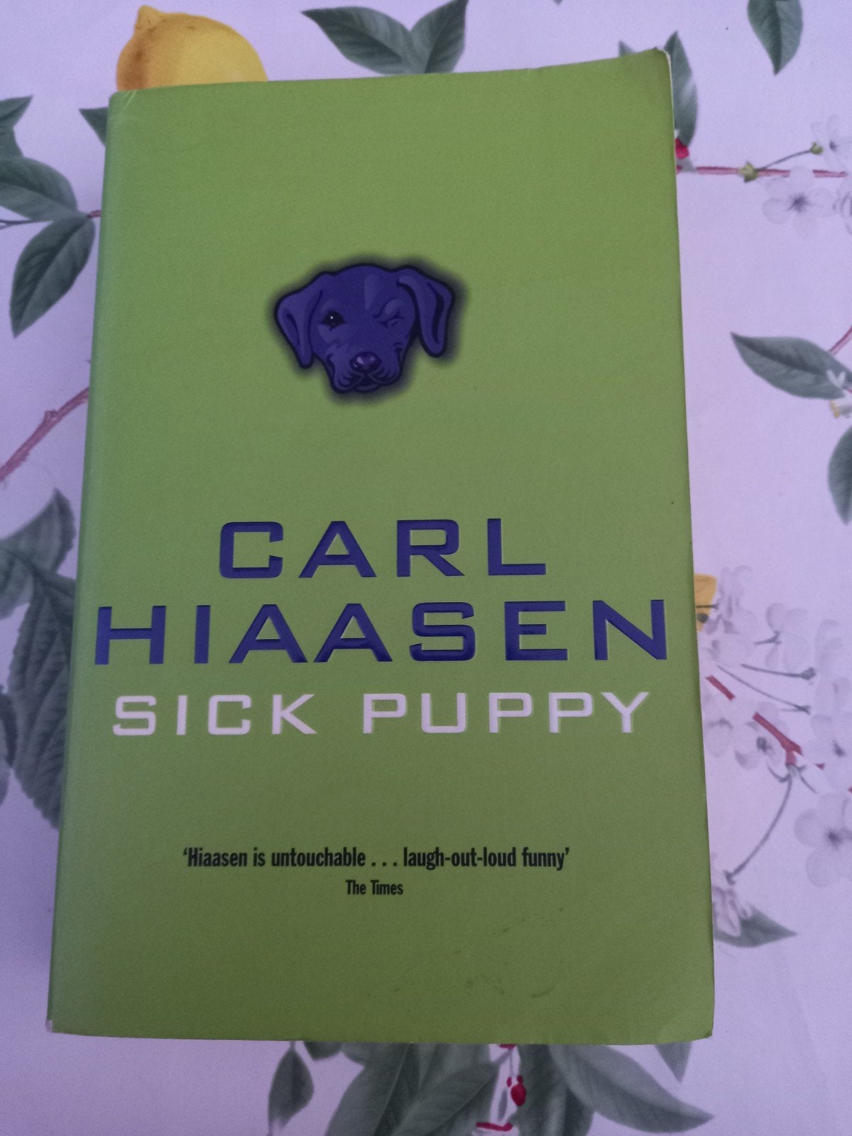 M8 CARL HIAASEN - SICK PUPPY, Boeken, Ophalen of Verzenden, Zo goed als nieuw, CARL HIAASEN, Amerika