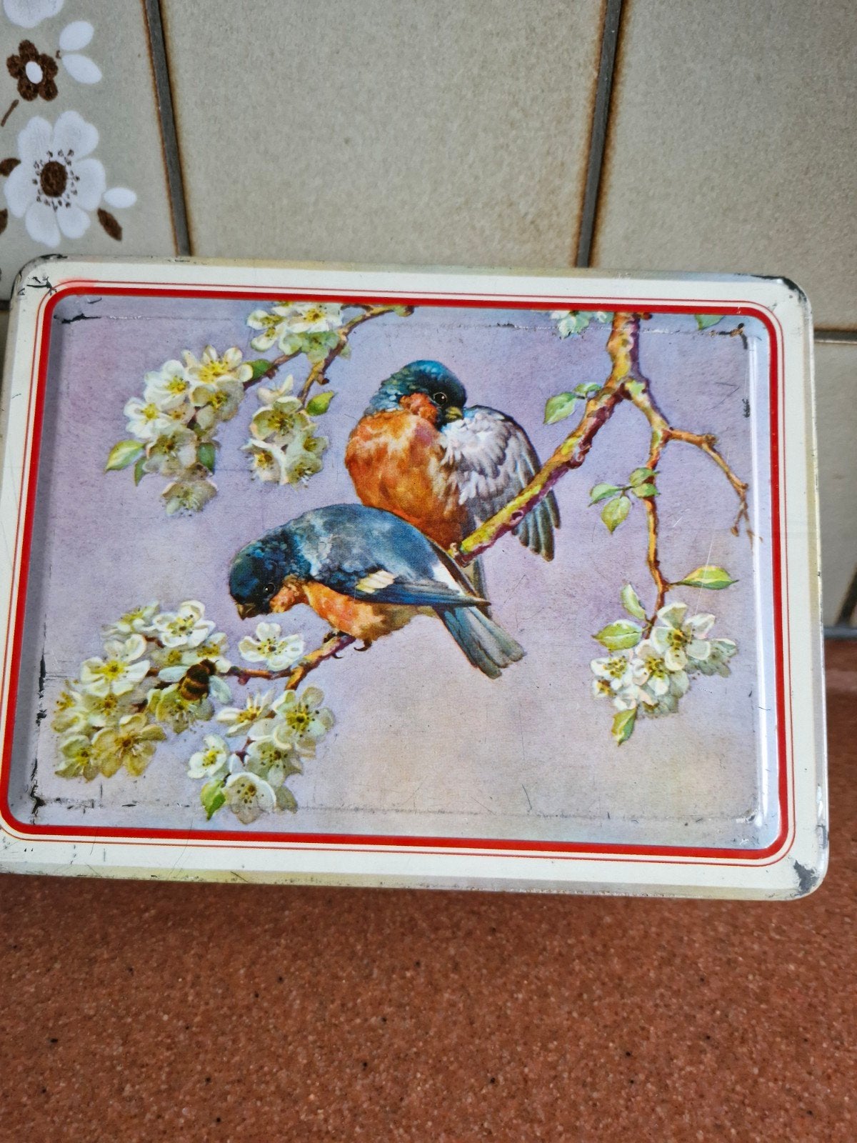 vogel blik, Verzamelen, Ophalen of Verzenden, Zo goed als nieuw, Overige
