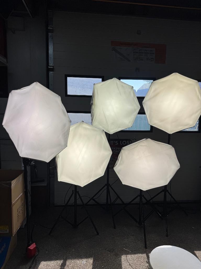 Falcon eyes studio lampen set met camera, Ophalen, Gebruikt, Lamp of Flitsset