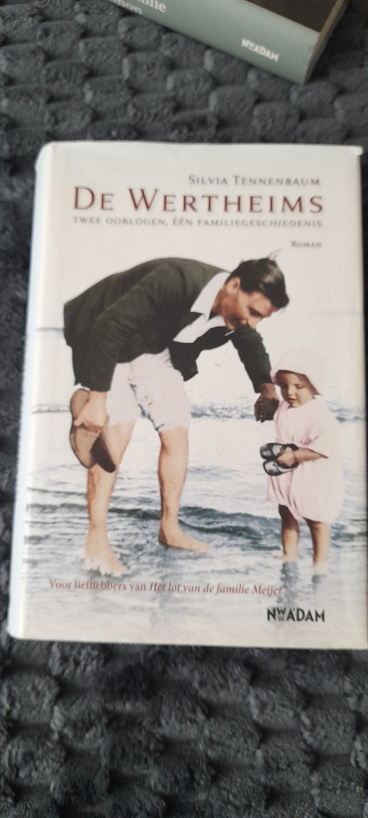 Silvia Tennenbaum - De Wertheims, Silvia Tennenbaum, Ophalen of Verzenden, Zo goed als nieuw, Amerika
