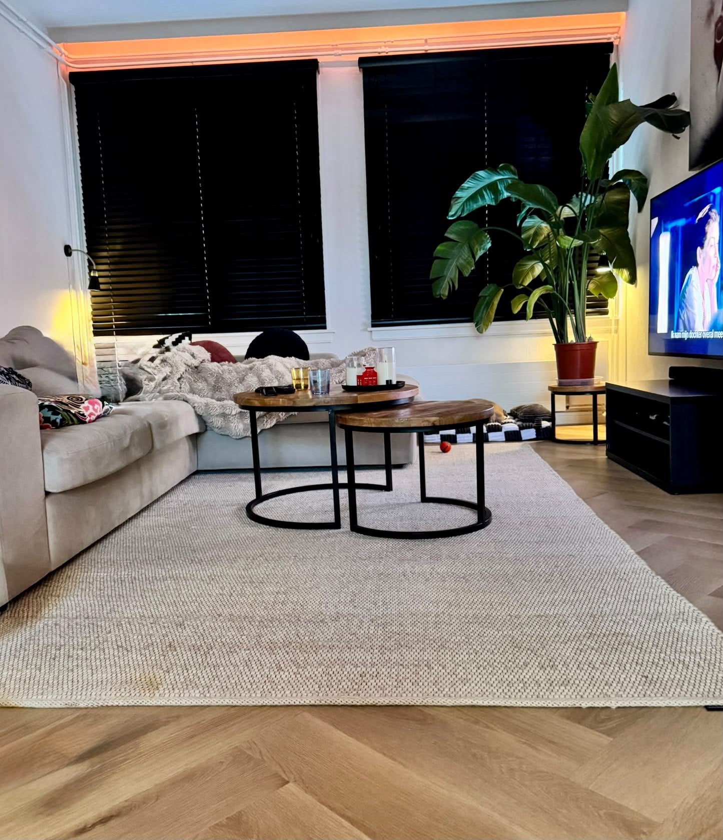 Lichtkleurig wollen kleed, professioneel gereinigd, Ophalen, Gebruikt, 200 cm of meer, Crème