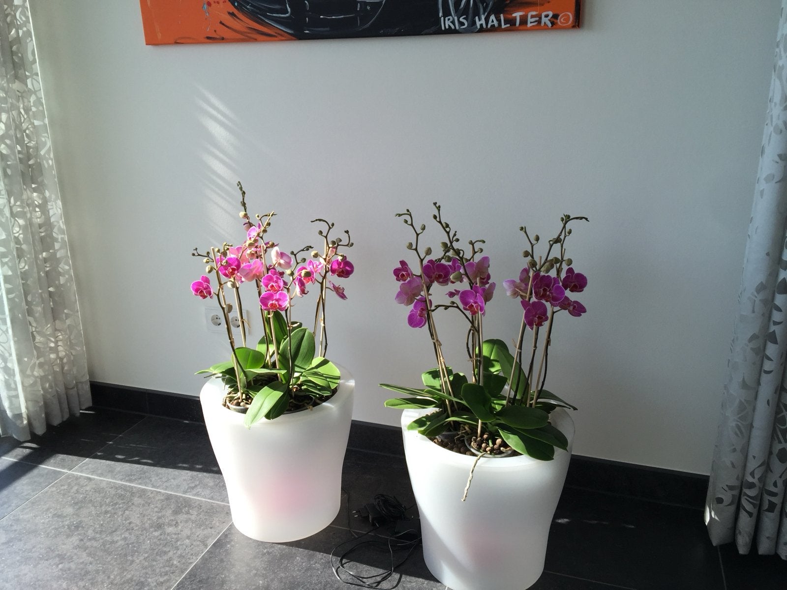 ELHO Ambiance LED plantenbakken (2x) met meubelhondjes, Kunststof, Gebruikt, Rond, Balkon