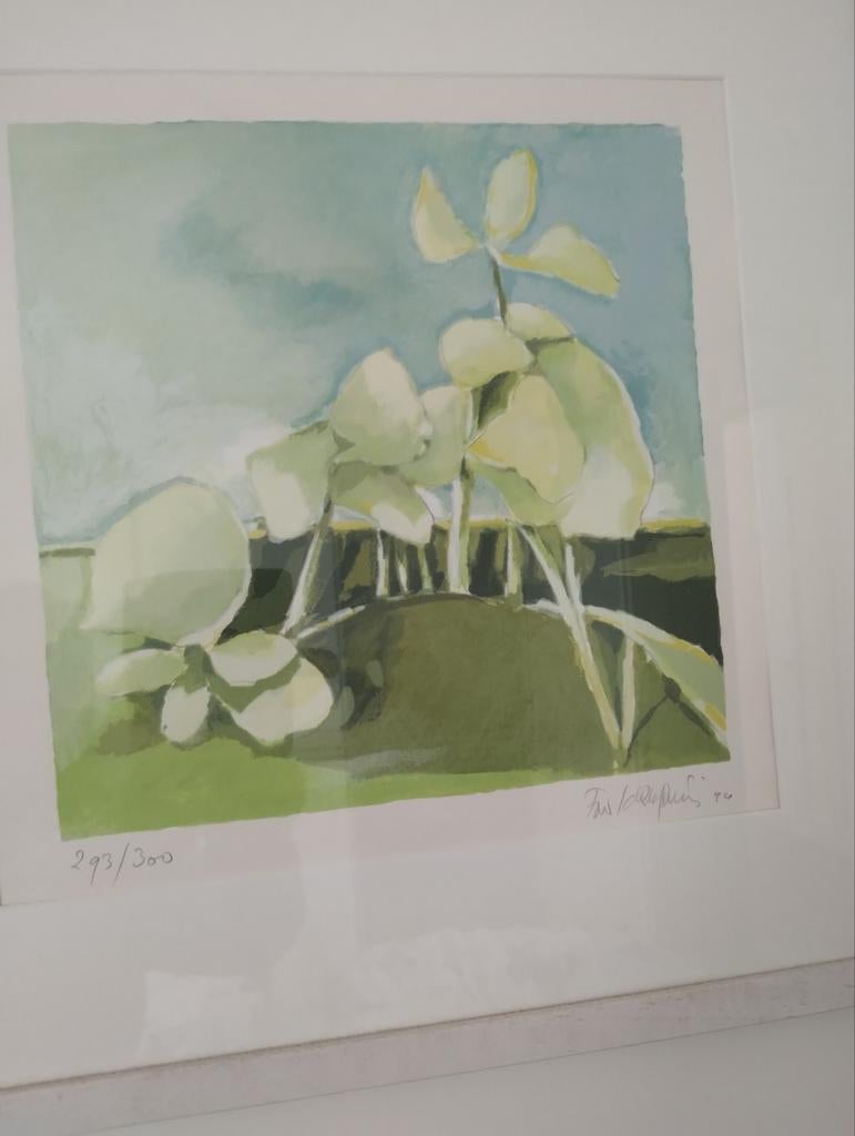 Fon Klement Zeefdruk Gesigneerd & Genummerd, Antiek en Kunst, Kunst | Litho's en Zeefdrukken, Ophalen of Verzenden