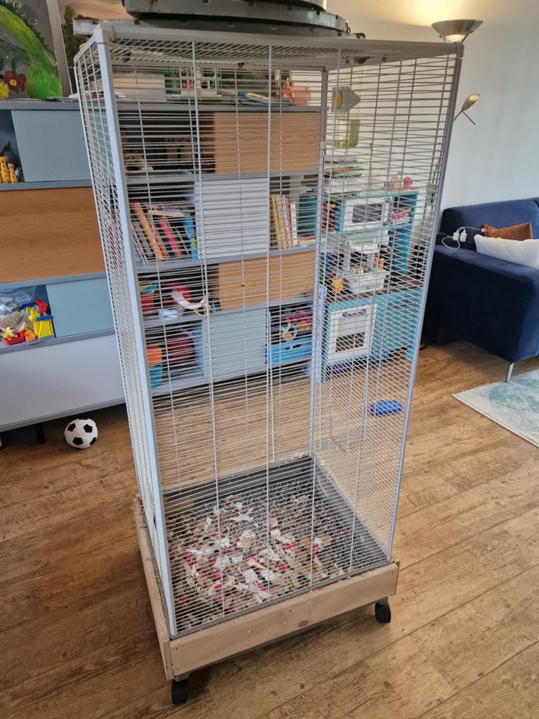 Vogelkooi gebruikt als rattenkooi, Ophalen, Gebruikt, Minder dan 75 cm, 90 cm of meer