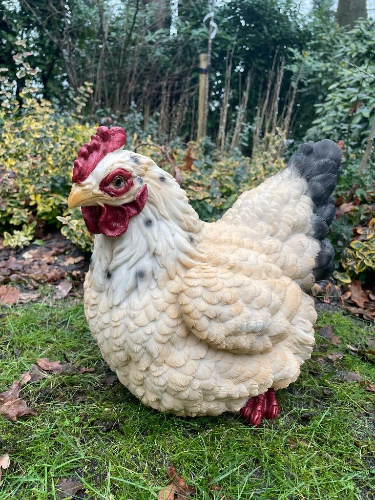 Beeld kip, tuin, vijver, gazon, boerderij 35cm, Ophalen, Nieuw, Kunststof, Dierenbeeld