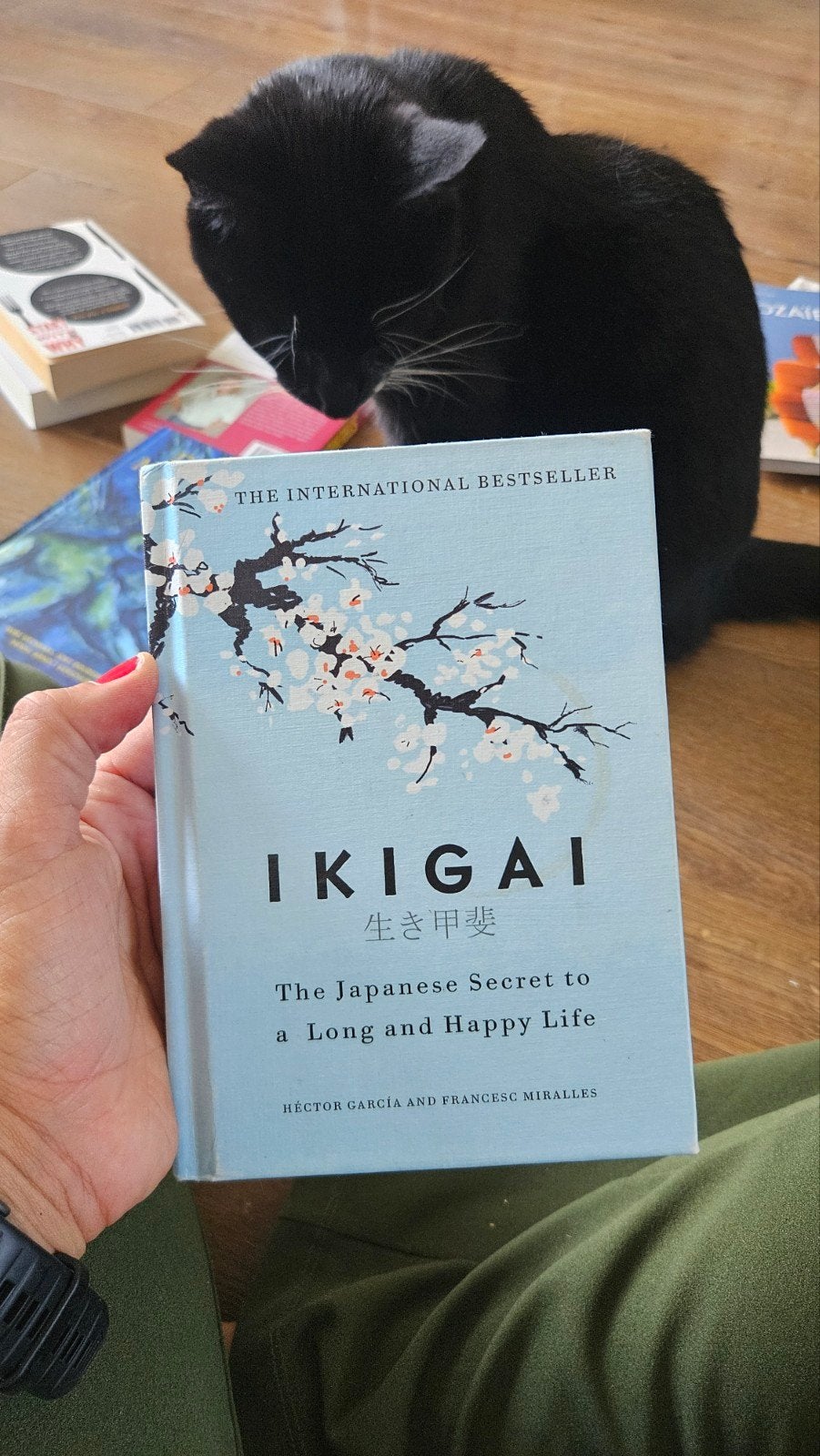 Ikigai: Het Japanse geheim voor een lang en gelukkig leven, Boeken, Ophalen of Verzenden, Zo goed als nieuw, Héctor García en Francesc Miralles