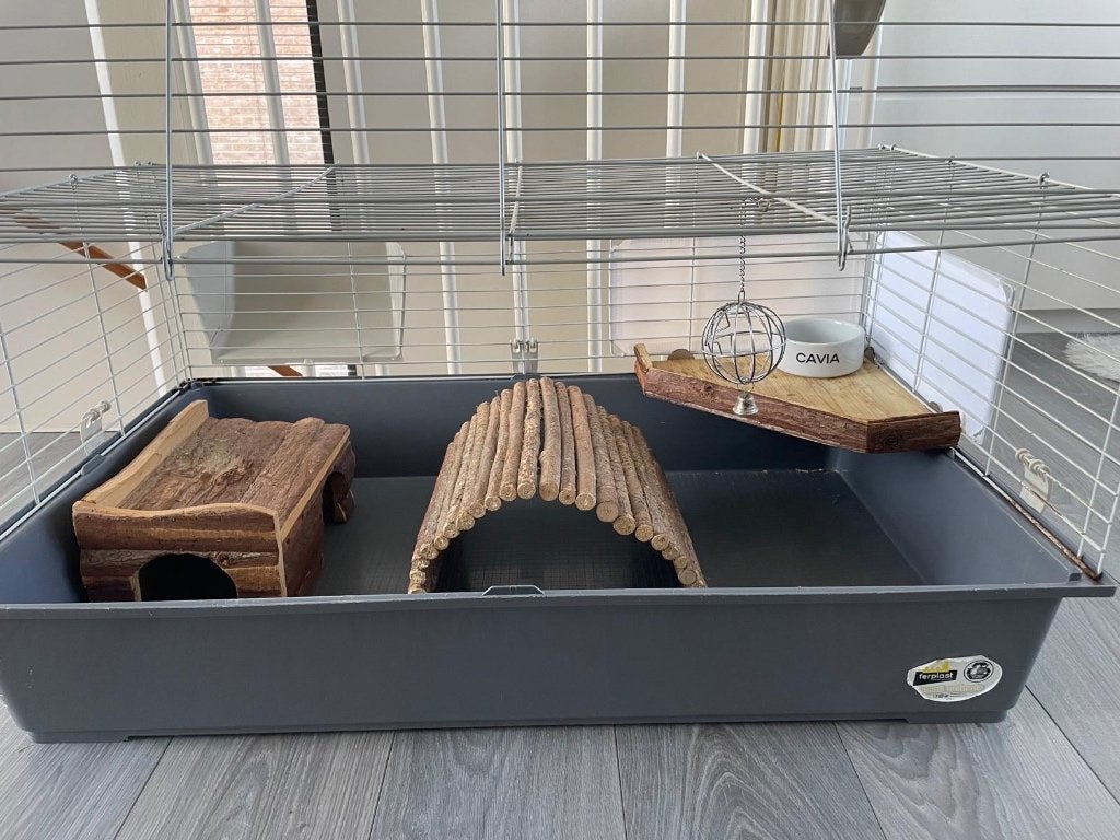 Cavia kooi en accessoires, Kooi, Gebruikt, 75 tot 110 cm, Cavia