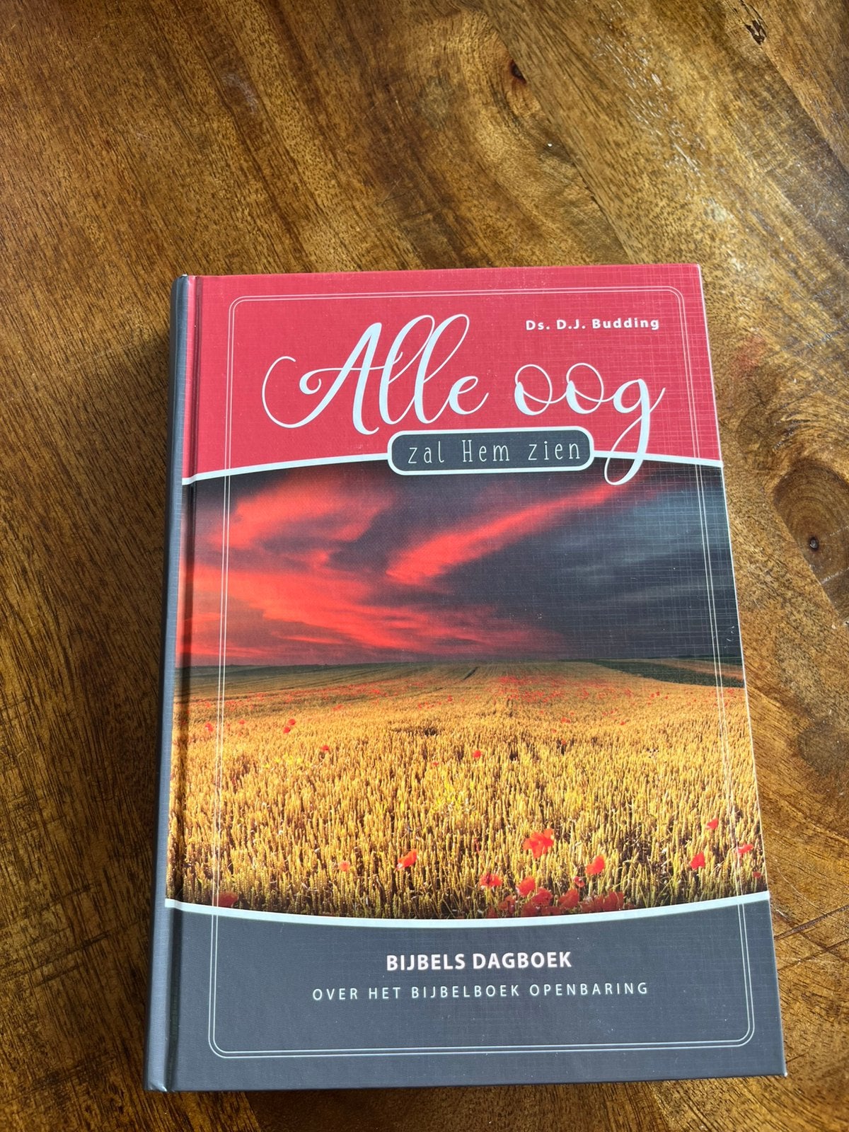 ds. D.J. Budding - Alle oog zal hem zien, Ophalen of Verzenden, Zo goed als nieuw