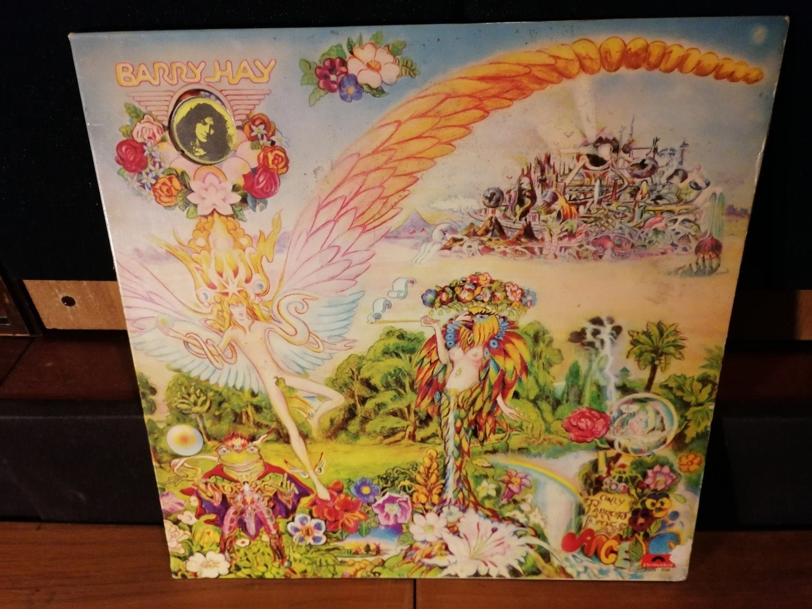 Barry Hay - Only Parrots, Frogs & Angels LP 1st Press 1972, LP, Gebruikt, Ophalen of Verzenden, 12 inch
