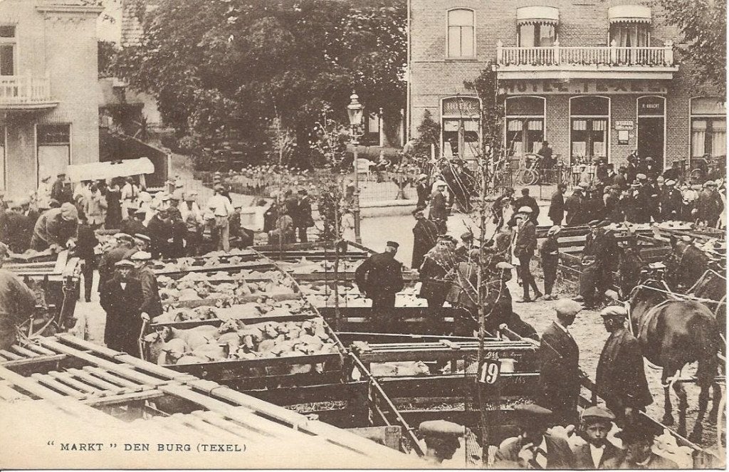 Texel, Den Burg, Markt, veel Volk, gelopen, Ophalen of Verzenden, Voor 1920, Gelopen, Noord-Holland