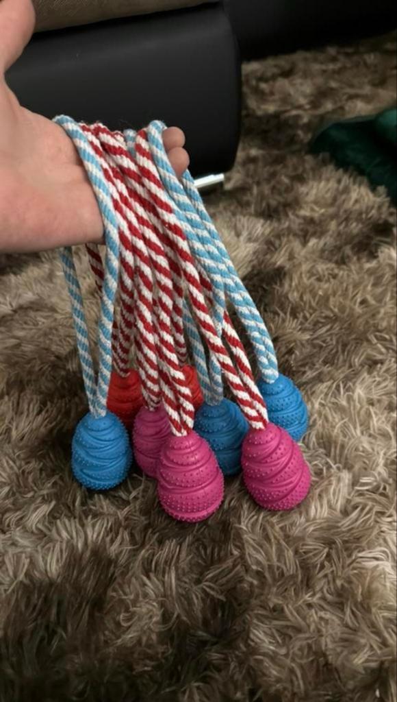 Rubberen kauwspel speelkussen, poepzakje 380 bags 19 rollen, Dieren en Toebehoren, Ophalen of Verzenden, Zo goed als nieuw