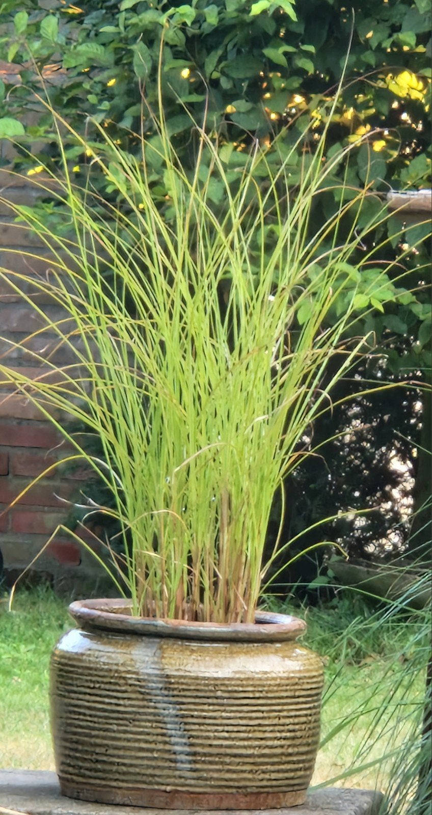 Prachtige zeer decoratieve grote bloempot, Ophalen