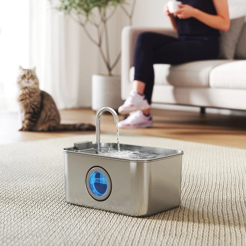 PawHut Kattenfontein 3,2L met stille pomp en filter, Ophalen