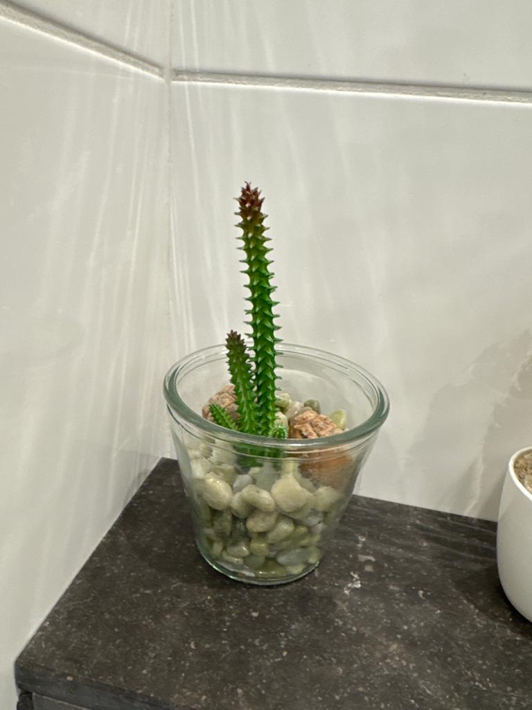 Diverse kunstplanten en decoratie, Binnen, Gebruikt, Kunstplant, Ophalen of Verzenden