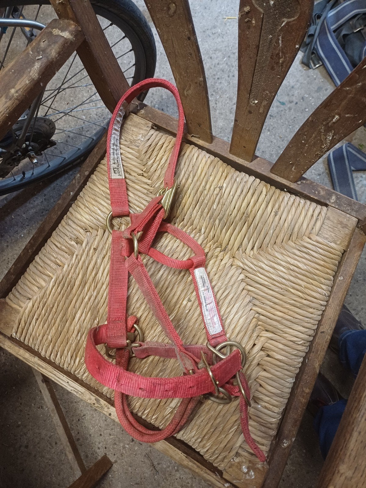 Monty robberts halster pony maat, Ophalen of Verzenden