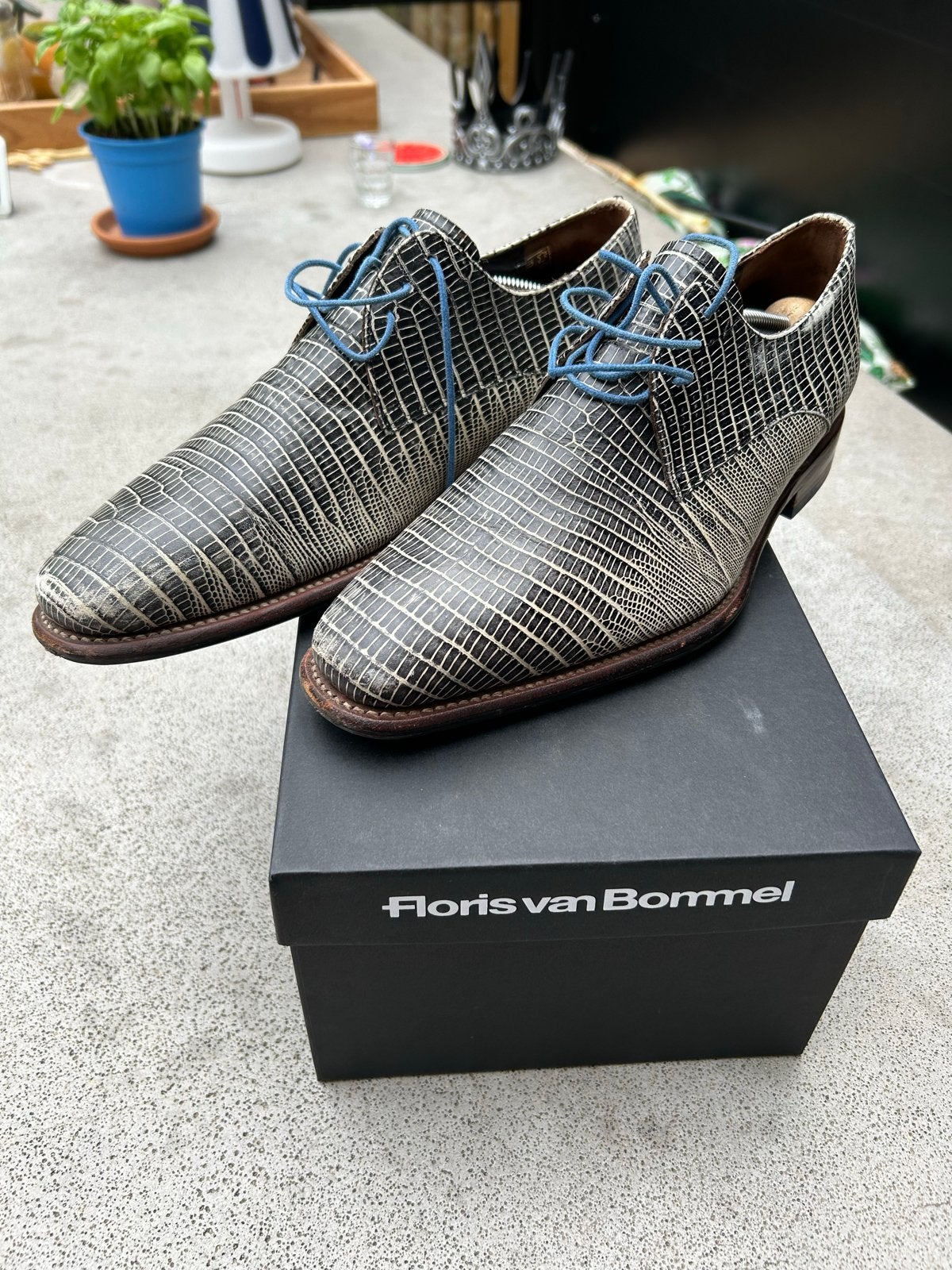 Floris van Bommel Goodyear - Maat 40 6,5, Ophalen of Verzenden, Gedragen, Overige kleuren, Veterschoenen