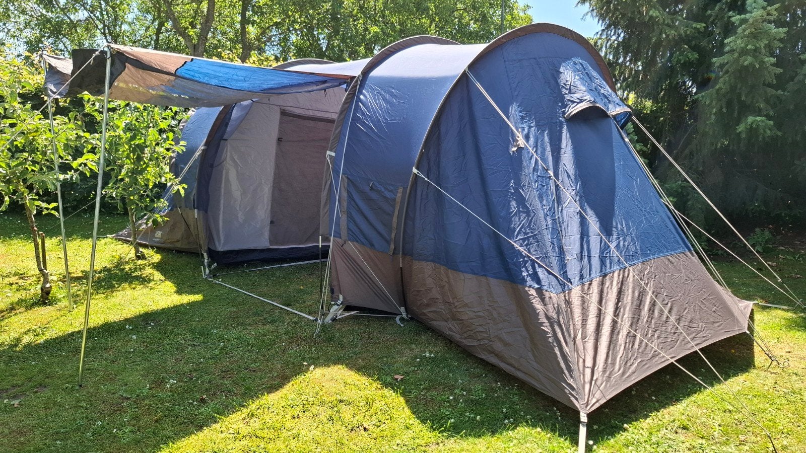 Perry Outdoor Basic Mt Vango 4-persoons tent, Ophalen of Verzenden, Gebruikt, Tot en met 4