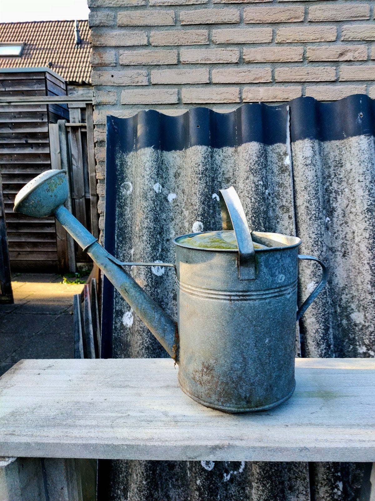 Ouderwetse roestvrije gieter, Ophalen of Verzenden, Gebruikt, Metaal