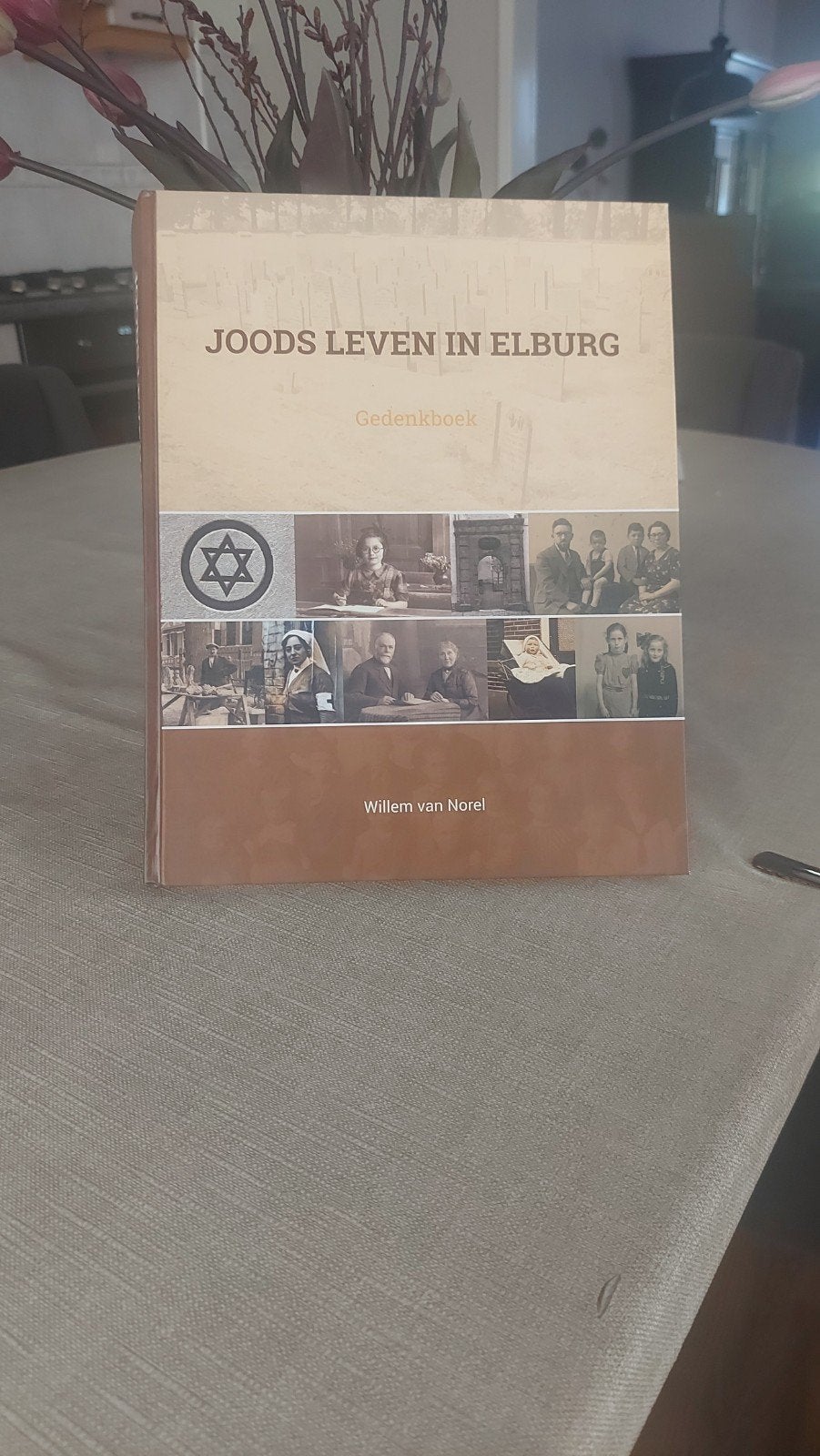 Joods Leven in Elburg - Gedenkboek door Willem van Norel, Ophalen of Verzenden, 20e eeuw of later, Gelezen, Willem van Norel