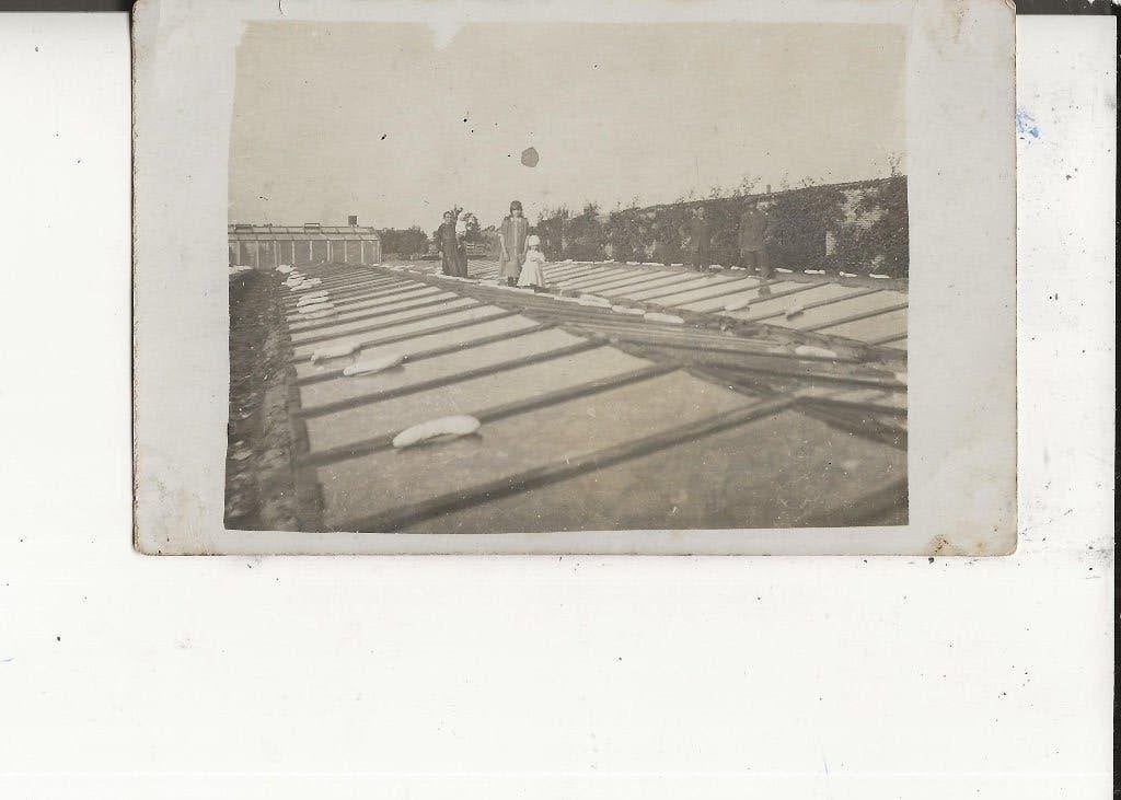 Naaldwijk Platglas met oogst bovenop Fotokaart, Ophalen of Verzenden, Voor 1920, Ongelopen, Zuid-Holland