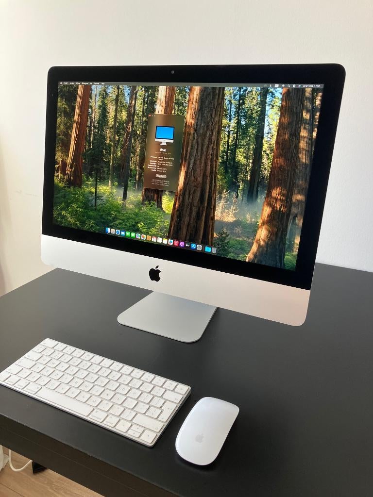 Mooie snelle iMac 21.5 inch uit 2019!, Computers en Software, Apple Desktops, Ophalen, SSD, IMac, Zo goed als nieuw