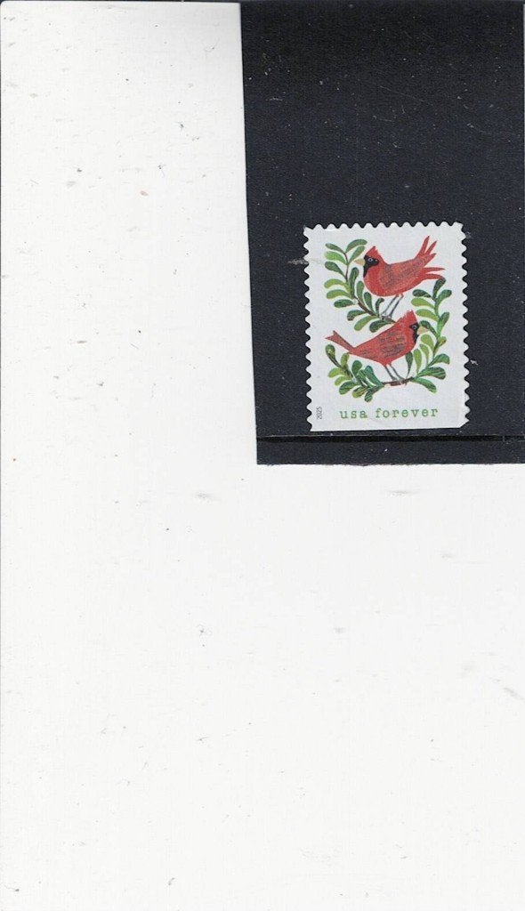 vogel USA, Ophalen of Verzenden, Gestempeld, Dier of Natuur
