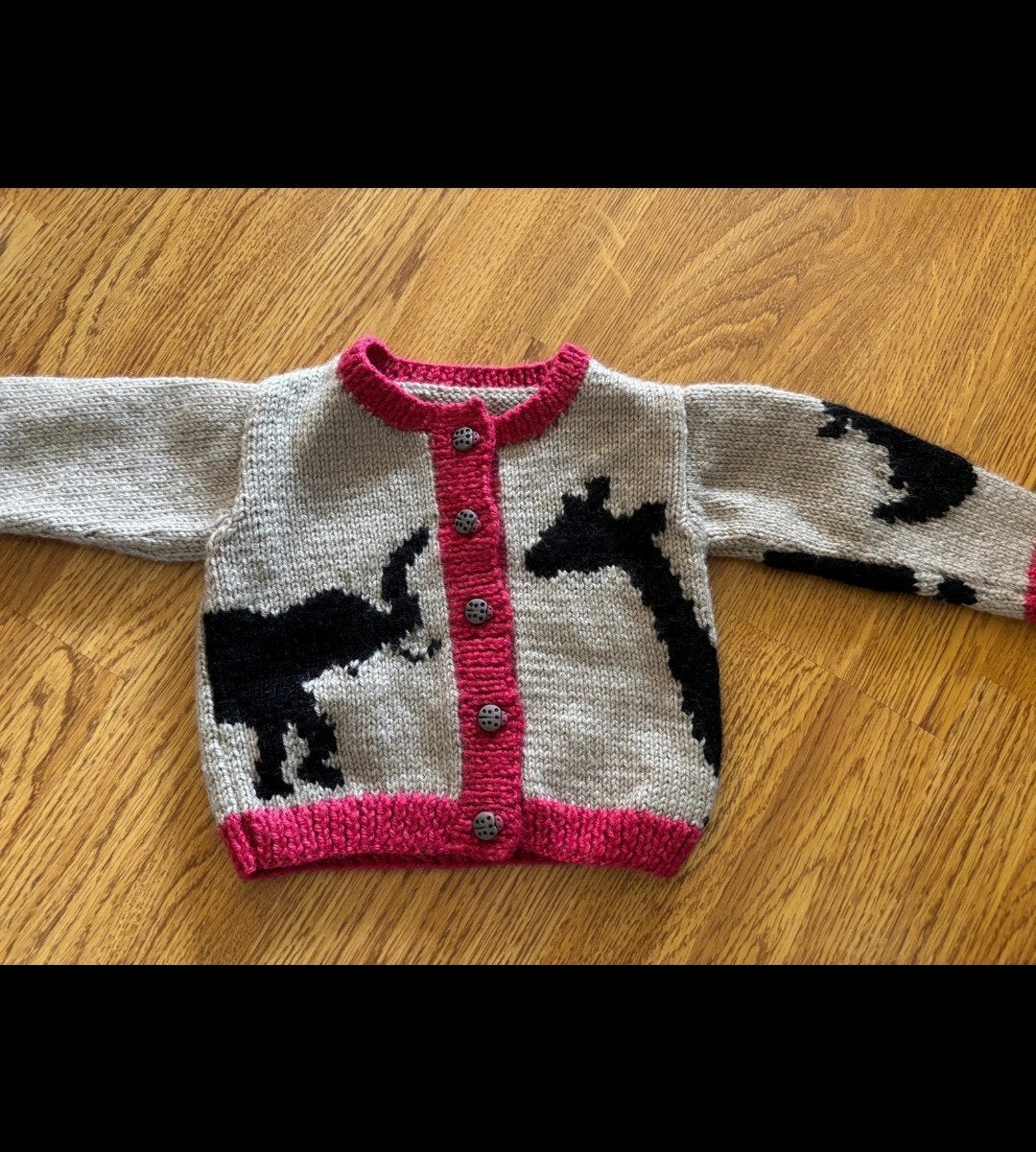 Handmade vestje
Dieren  
Zacht en warm is, Ophalen of Verzenden, Handmade, Jongetje of Meisje, Truitje of Vestje