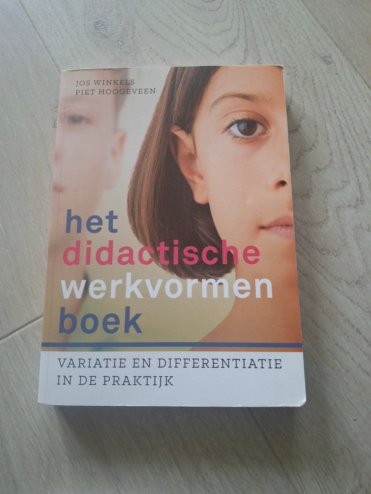 Het didactische werkvormenboek - Variatie en differentiatie, Boeken, Studieboeken en Cursussen, Ophalen, HBO, Zo goed als nieuw