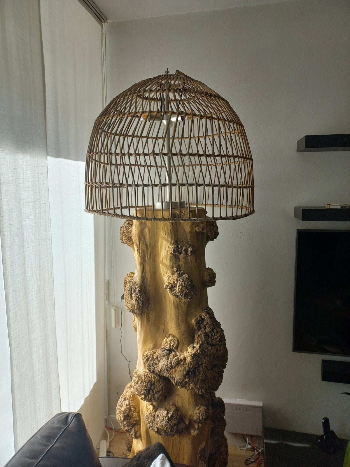 Unieke vloerlamp van massieve stronk, Ophalen, Gebruikt, 200 cm of meer, Natuurlijk materiaal