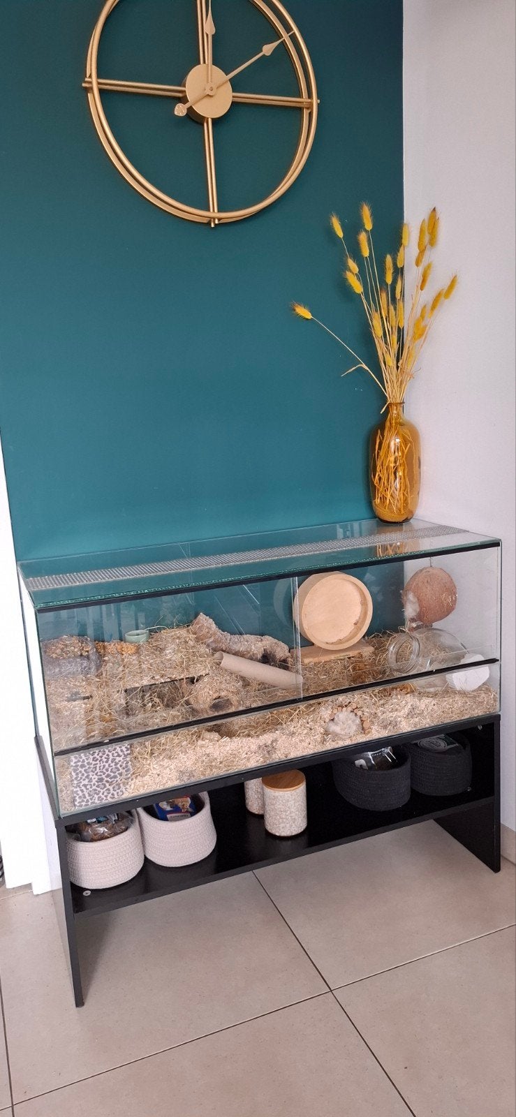 Prachtig knaagdieren verblijf van 100x40x40, Muis, Hok, 75 tot 110 cm, Ophalen