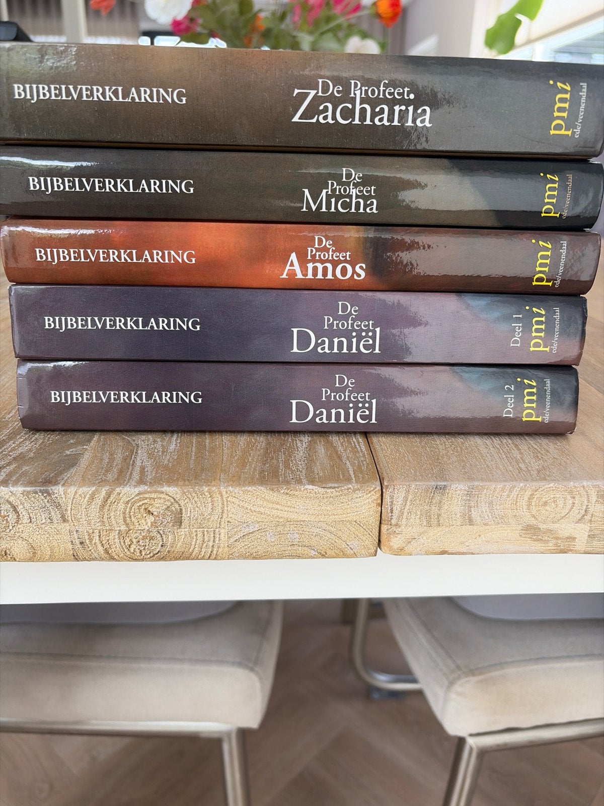 Bijbelverklaring: De Profeten Zacharia, Micha, Amos, Daniël, Ophalen of Verzenden, Zo goed als nieuw, Christendom | Protestants