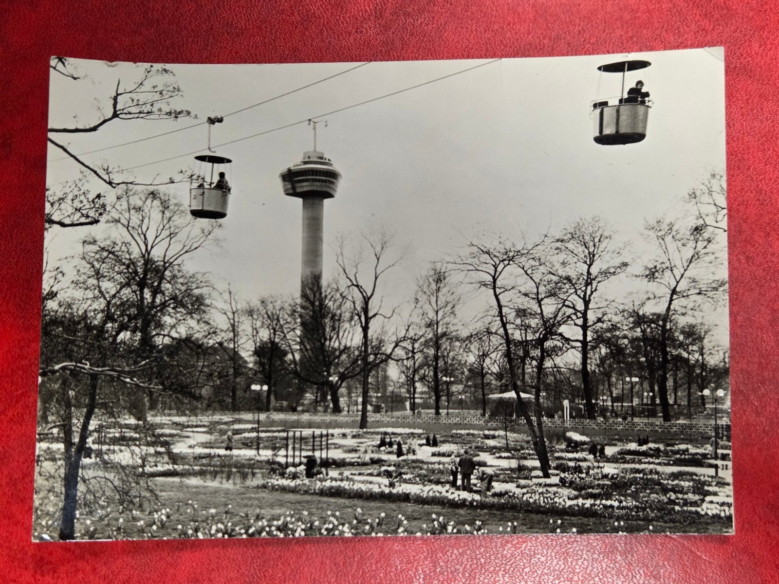 Rotterdam Floriade 1960 kabelbaan, Verzamelen, Foto's en Prenten, Ophalen of Verzenden, 1940 tot 1960, Overige onderwerpen