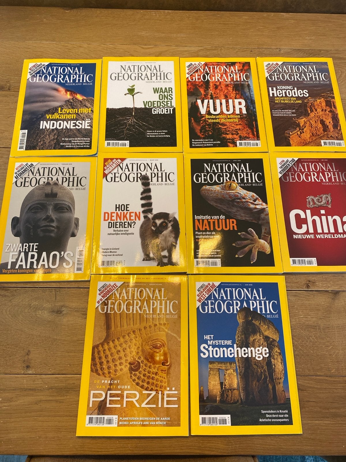 10 National Geographic tijdschriften uit 2008, Ophalen of Verzenden, Gelezen, Wetenschap en Natuur