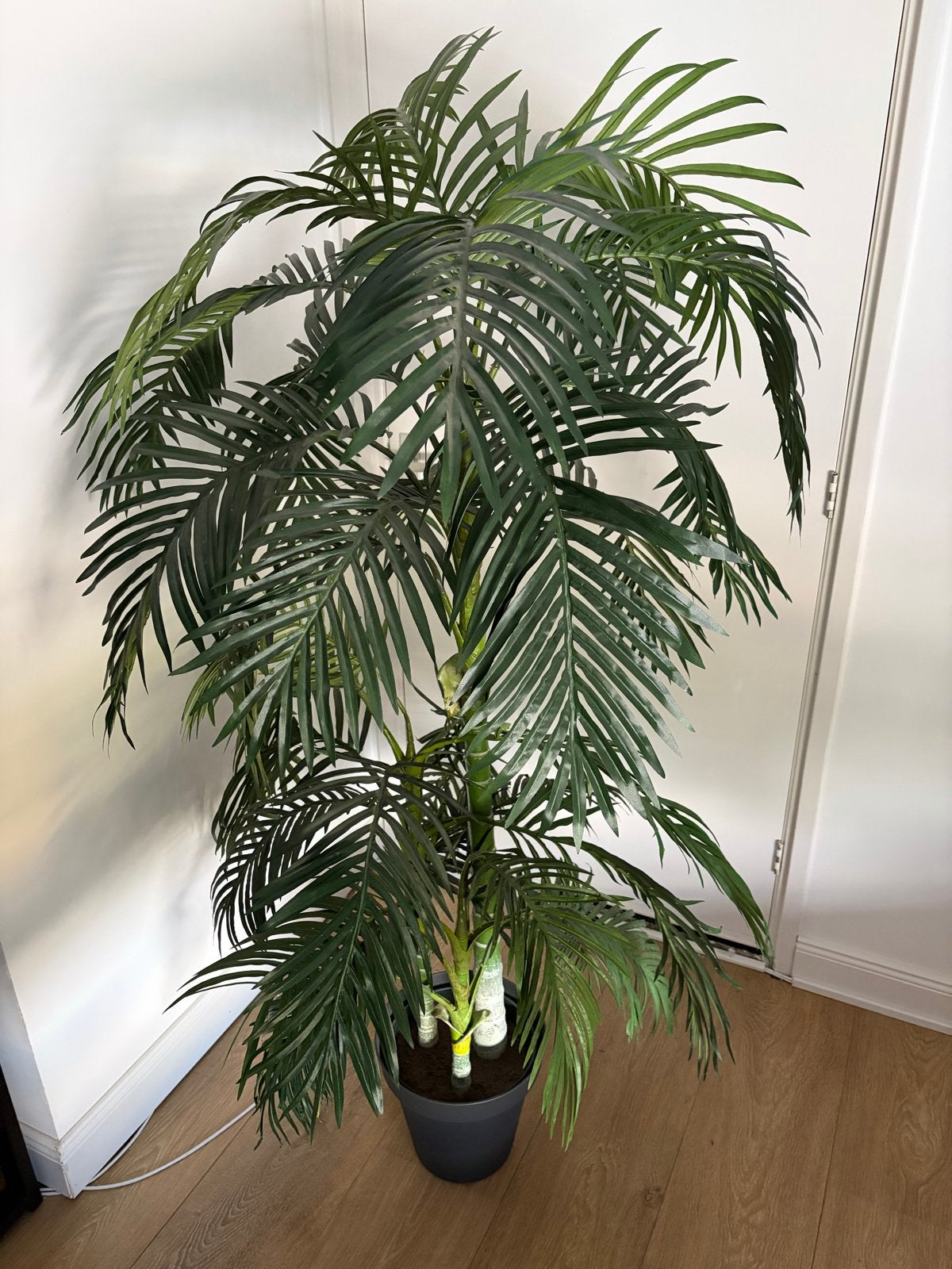 Kunstboom Palmboom 170 cm hoog incl pot, Huis en Inrichting, Kamerplanten, Ophalen, Palm, In pot, 150 tot 200 cm