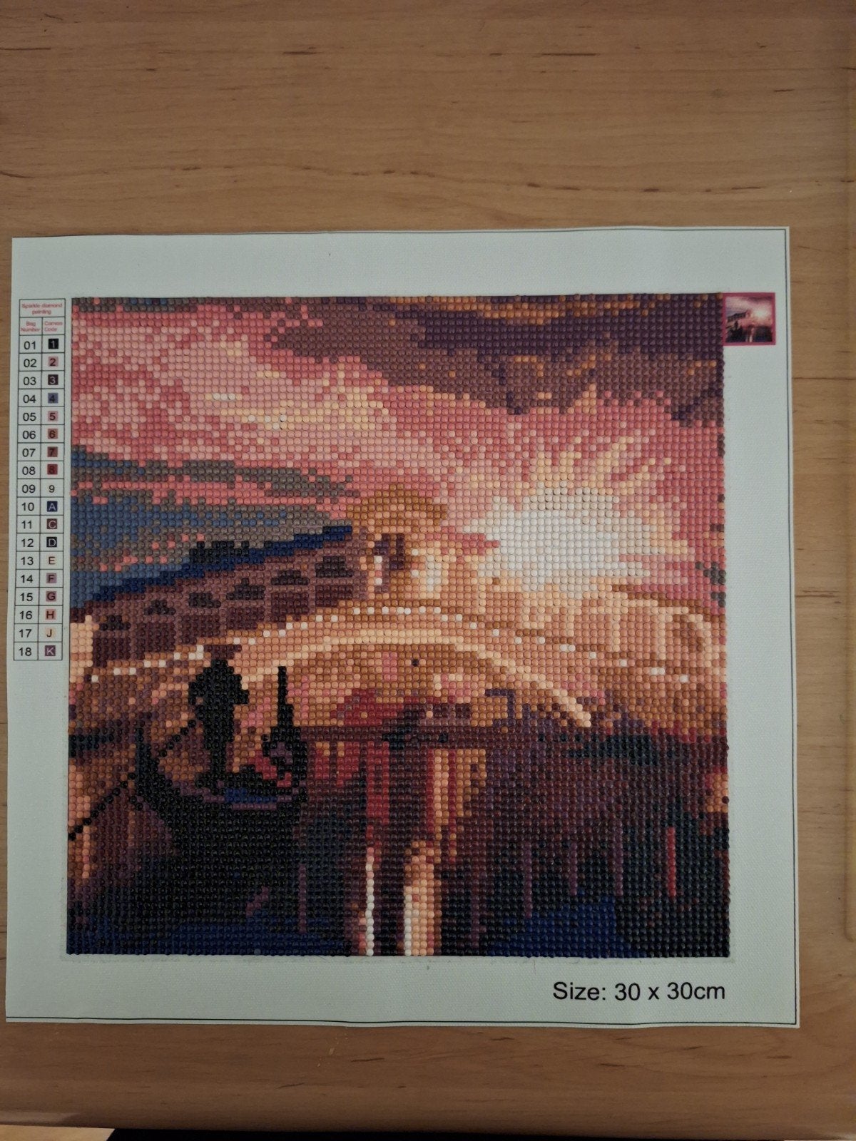 Diamond painting 30x30 cm, al gemaakt, Ophalen, Nieuw, Knutselwerk