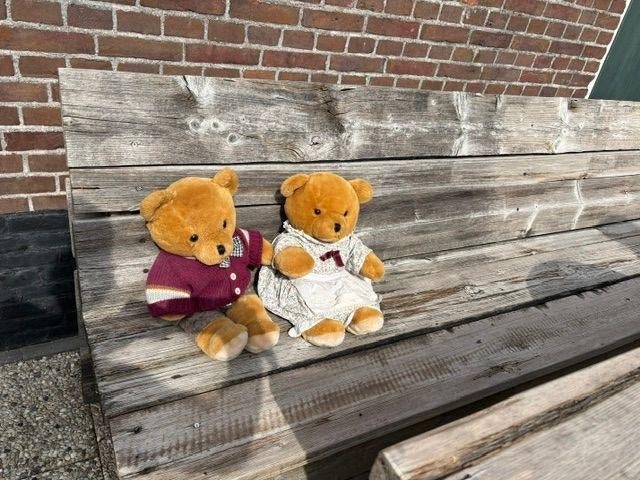 Beren Bijenkorf, Verzamelen, Ophalen of Verzenden, Zo goed als nieuw, Stoffen beer, Overige merken