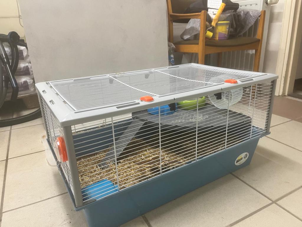 Ruime Ferplast Criceti15Hamsterkooi78x48x39Accessoires, Ophalen, Loopwiel of Rad