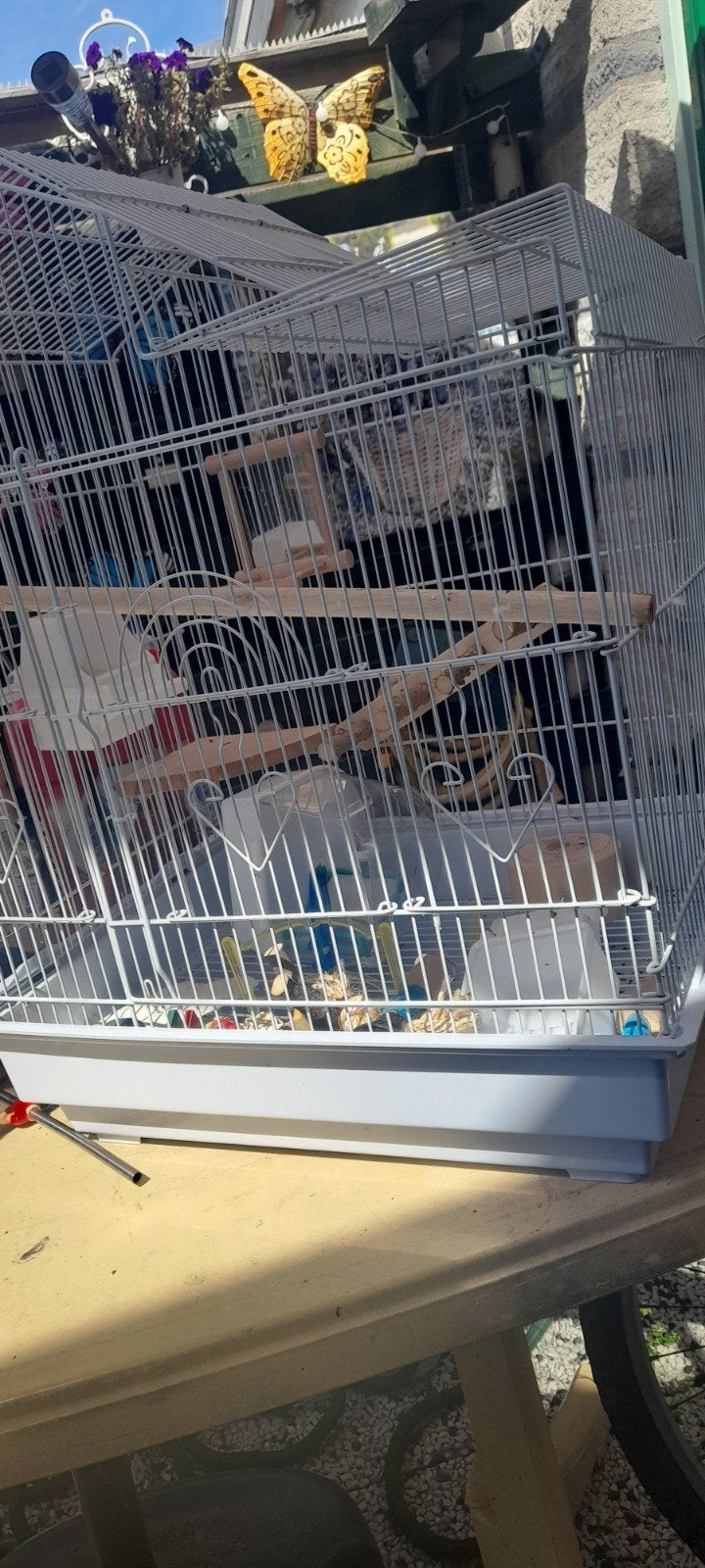 Vogelkooi, Dieren en Toebehoren, Vogels | Hokken en Kooien, Ophalen of Verzenden, Zo goed als nieuw, Metaal, Vogelkooi