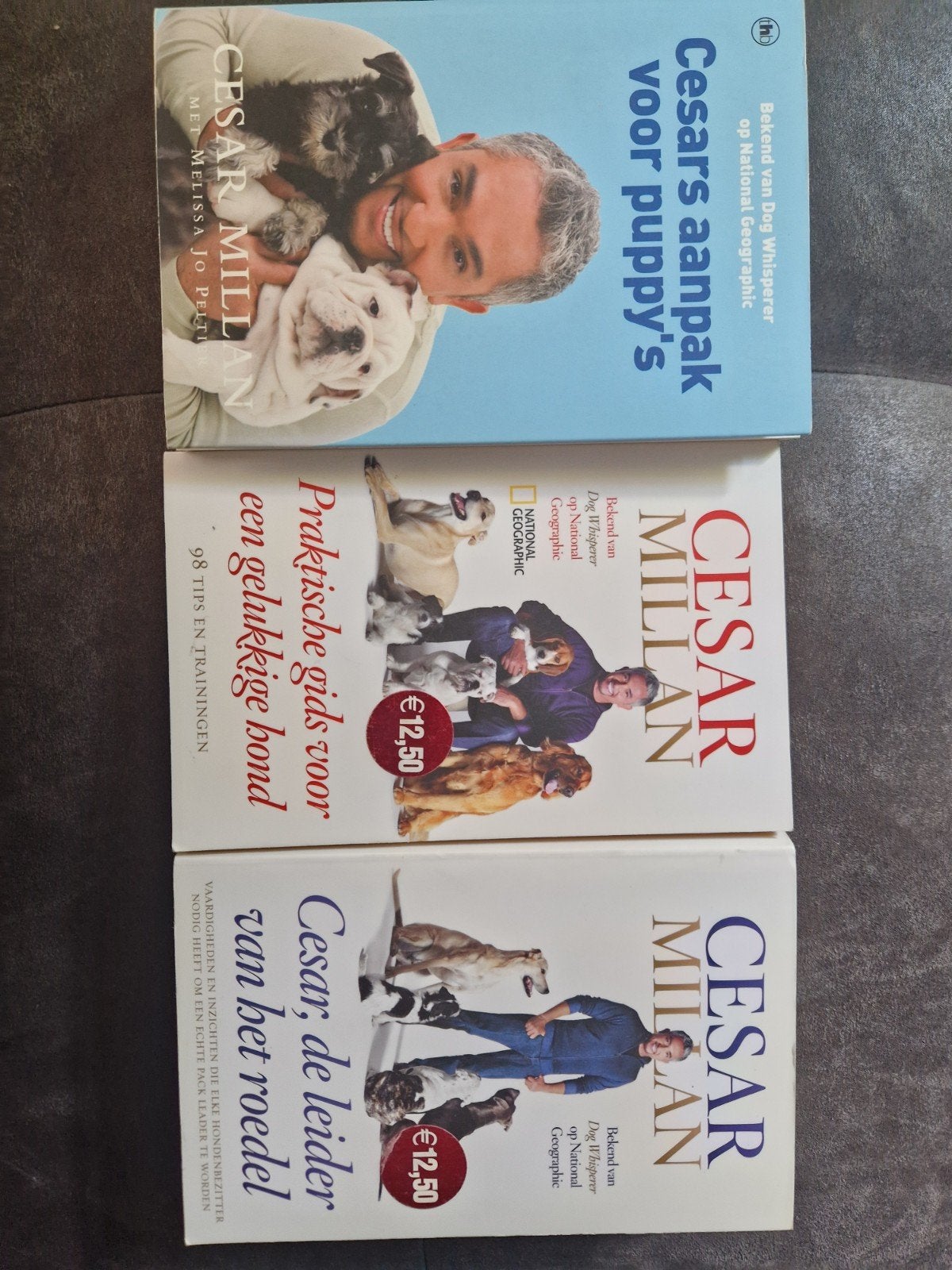 Cesar Millan boeken: Puppy's, gelukkige hond, roedelleider, Ophalen of Verzenden, Gelezen, Honden, Cesar Millan