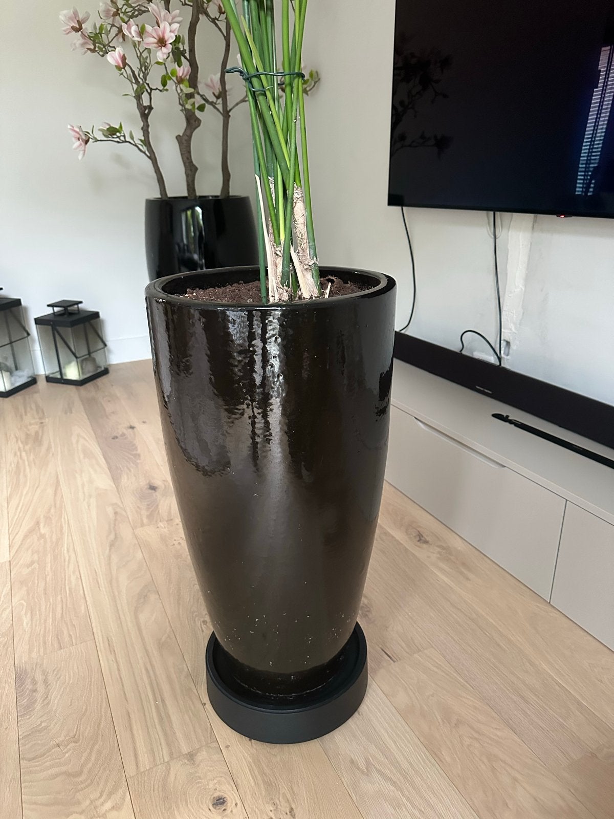 Glanzende zwarte bloempot, 70 cm hoog, 30 cm diameter, Overige materialen, Rond, Binnen, Zo goed als nieuw