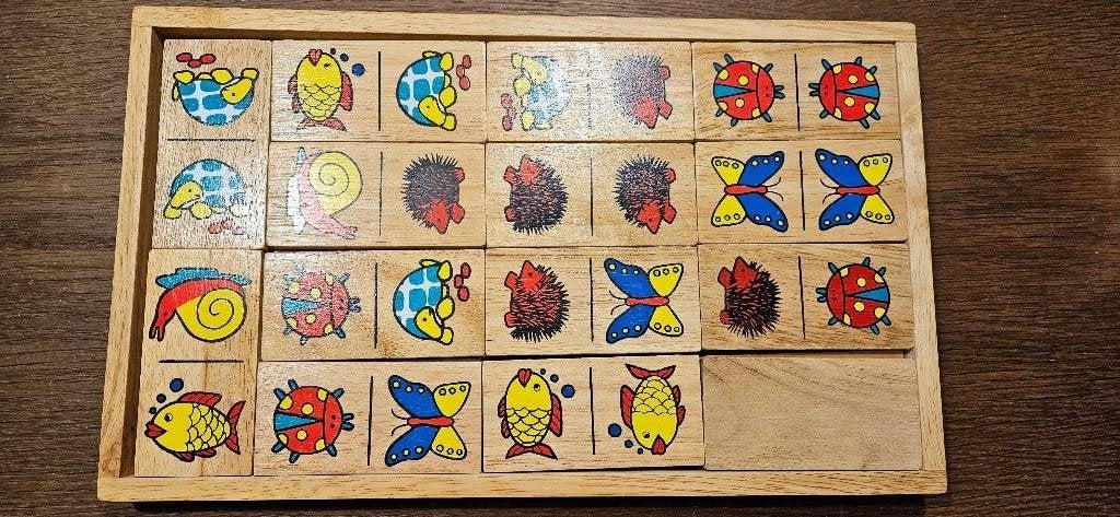 Houten jumbo domino zgan, Ophalen of Verzenden, Zo goed als nieuw, Overige typen
