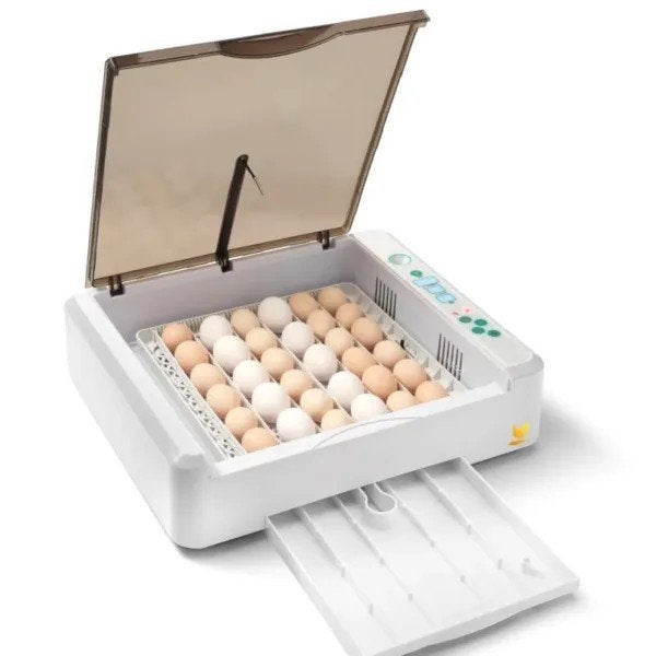 Wonegg / HHD YZ-36 Volautomatische Broedmachine, Geslacht onbekend, Kip