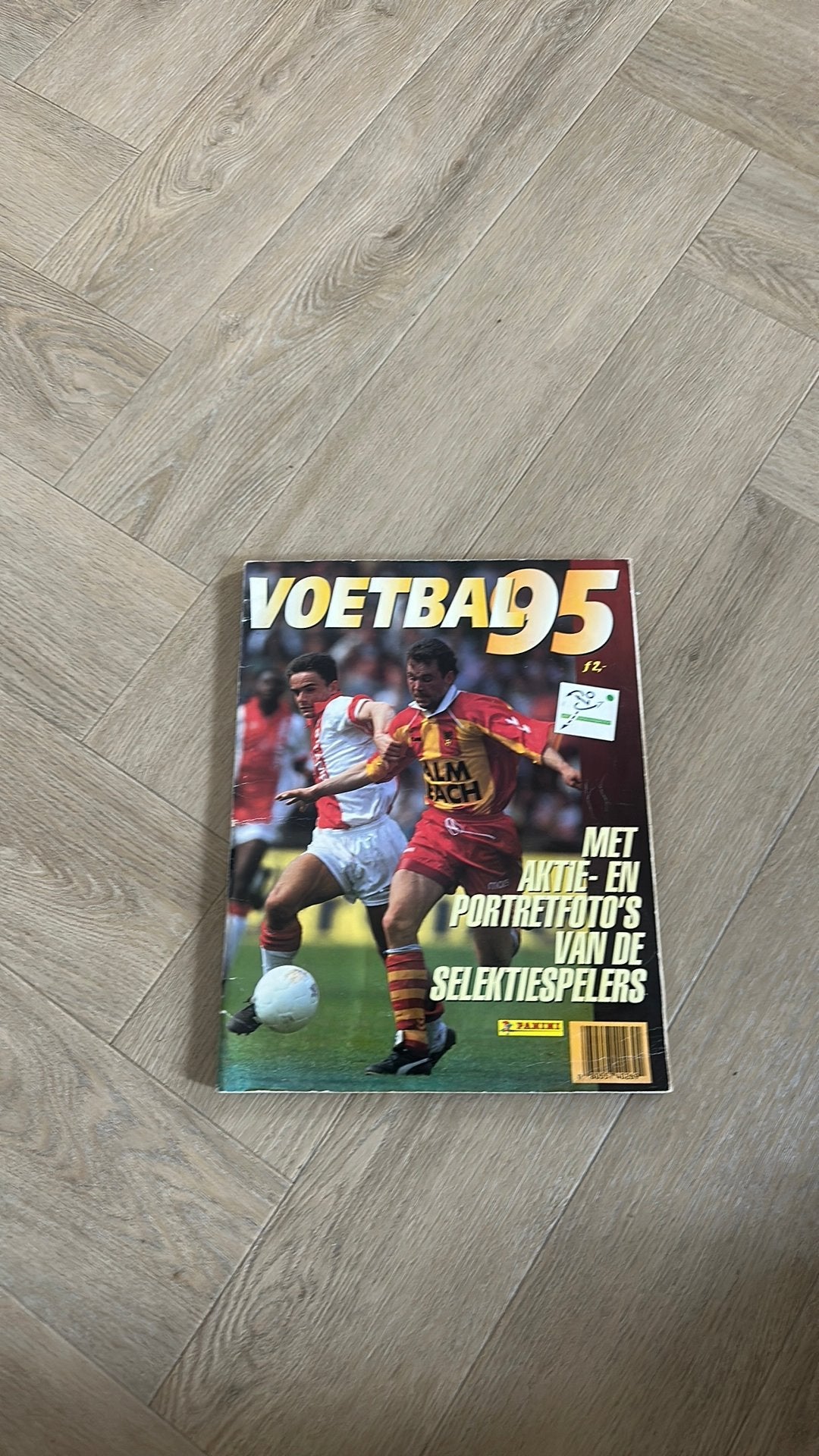 Panini album voetbal 95 compleet met rookie Ronaldo !!, Ophalen of Verzenden, Zo goed als nieuw, Buitenlandse clubs