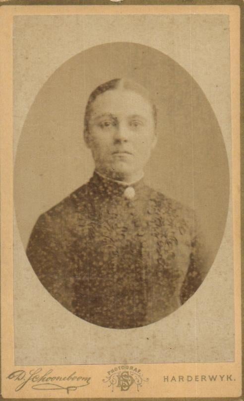 CDV -  D. Schooneboom - Harderwijk, Gebruikt, Verzenden, Foto, Voor 1940