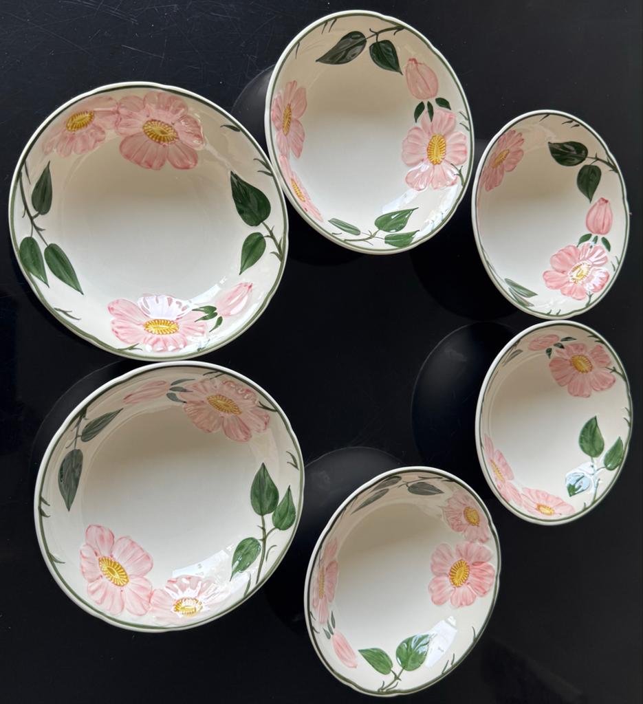 Villeroy & Boch Wild Rose kommen 16cm - 6 stuks, Ophalen of Verzenden, Zo goed als nieuw, Kom(men), Overige stijlen