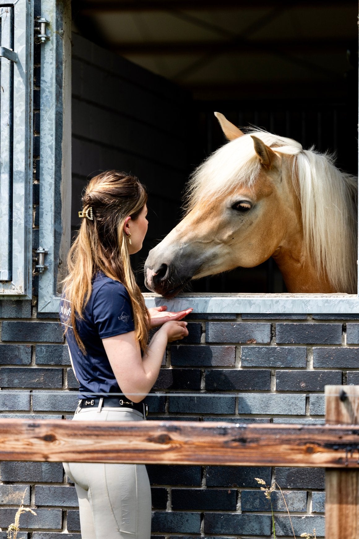 Verzorger/bijrijder gezocht 6 jarige haflinger Flame Wezep, Dieren en Toebehoren