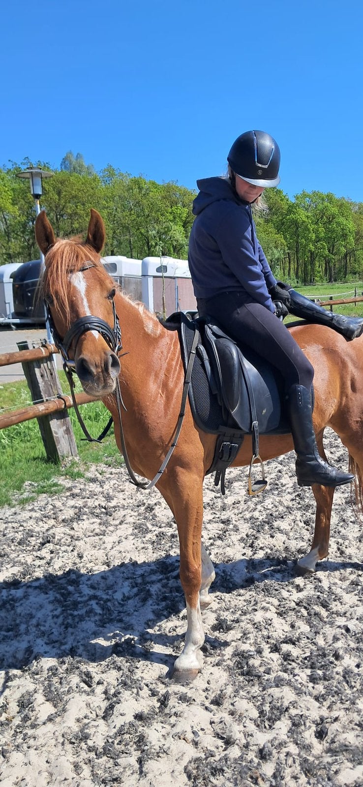 Lieve ruin aangeboden!, Dieren en Toebehoren, Pony's, Gechipt, B, Ruin, 3 tot 6 jaar