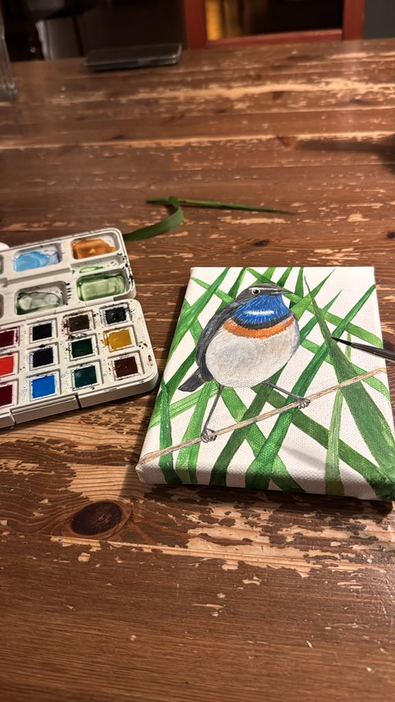 Handgeschilderd canvas: Blauwborst, Ophalen of Verzenden