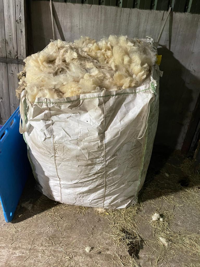 Bigbag vol schapenwol, Meerdere dieren, Schaap