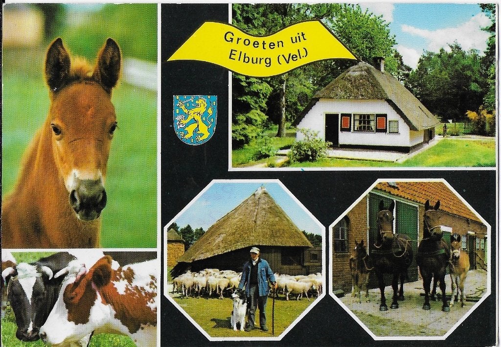 A79 gelopen ansichtkaart groeten uit Elburg, Ophalen of Verzenden, 1980 tot heden, Gelopen, Gelderland